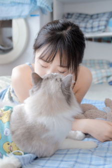 龙门飞甲电视剧